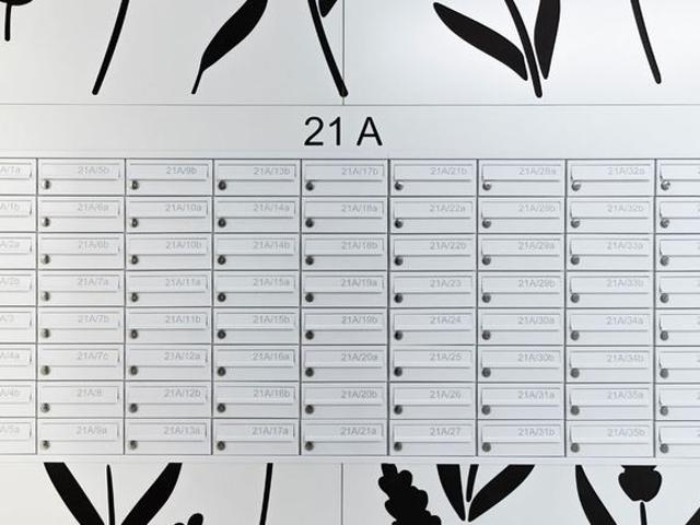 RZ21