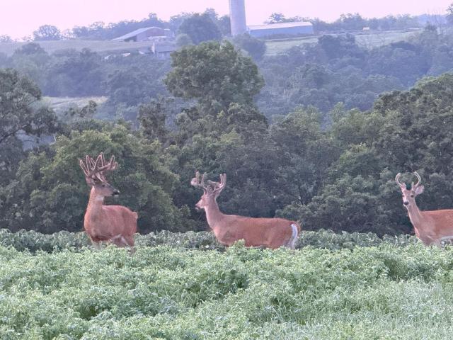S3565 Rooster Ridge Lane