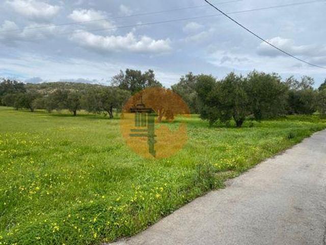 São Brás de Alportel Faro 96316190