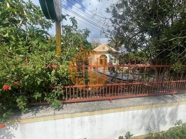 São Brás de Alportel Faro 96316352