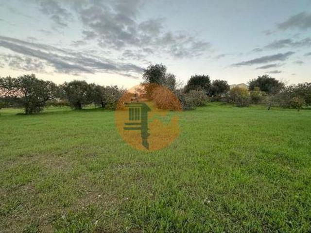 São Brás de Alportel Faro 96329023