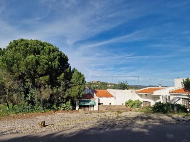 São Brás de Alportel São Brás de Alportel 103135056