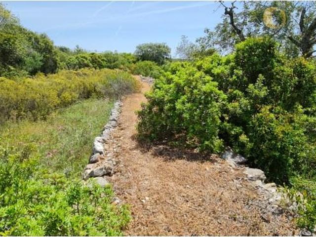 São Brás de Alportel São Brás de Alportel 105554045