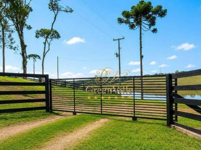 São José dos Pinhais, Chácara 54.000 m², Lagos, 5 Suítes