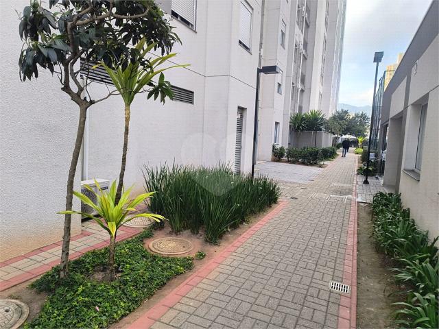 São Paulo/SP Jaraguá