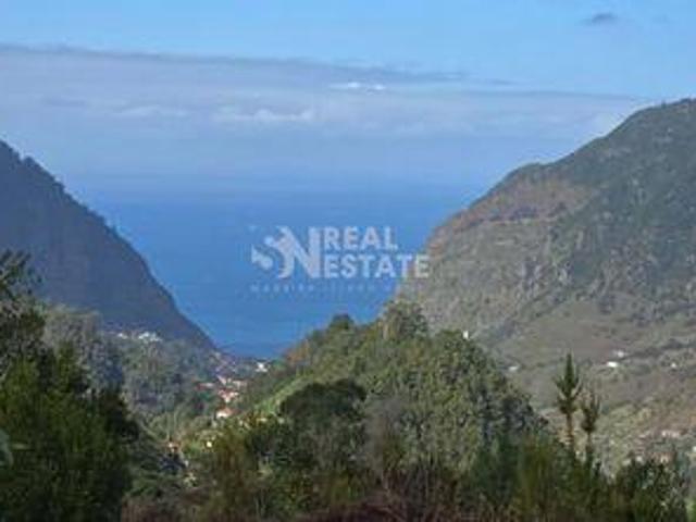 São Vicente Ilha da Madeira 97101051