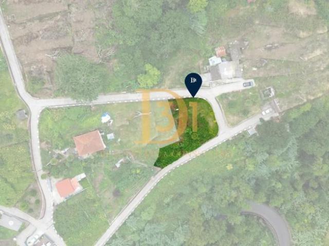 São Vicente Madeira 9240 212 105465582