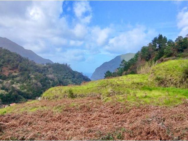 São Vicente São Vicente 98607544