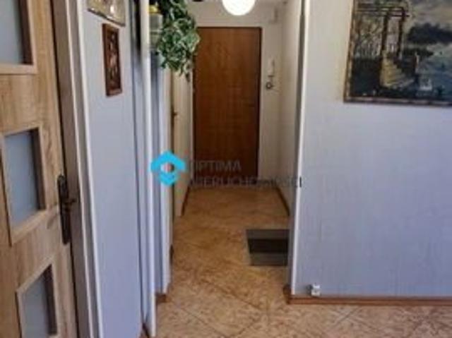 Słoneczne 3 pokojowe mieszkanie z balkonem i piwnicą