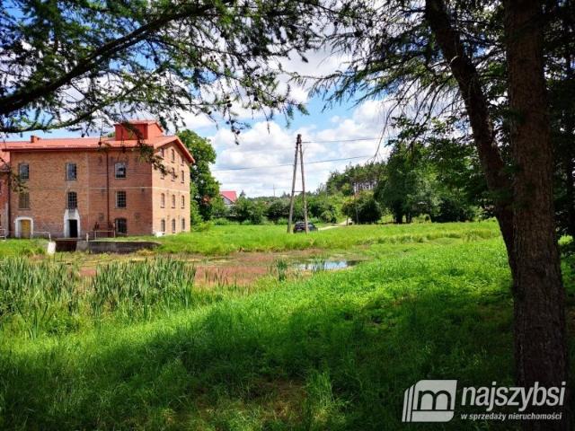 Unikalny młyn wodny z elektrownią, 500 m2, potencjał