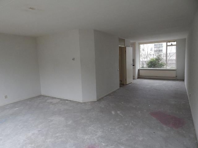 S. Lootsmastraat 3