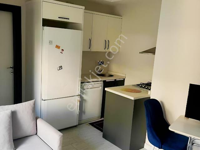 Sıra Mah.eşyalı 1+1 Kiralık Daire