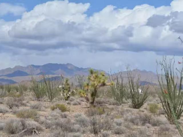 S Rainbow Rd, Yucca, AZ 86438 MLS 034671