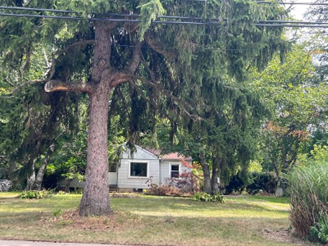 S Squirrel Rd