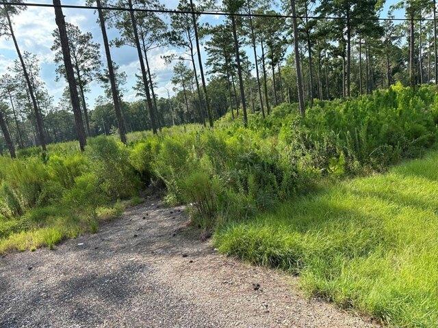 S Us Highway S, Tifton, Plot For Sale