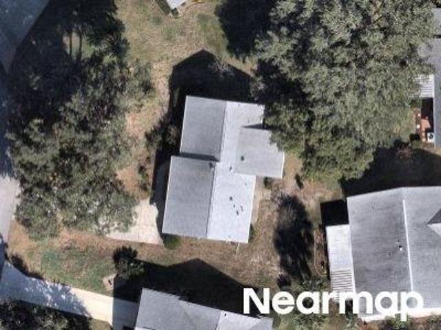 Scotch Pine Ct