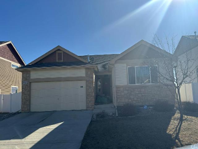 Scotch Pine Dr