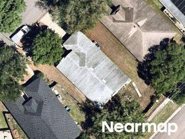 Scotch Pine Dr