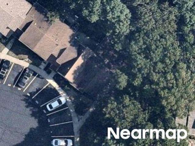 Scotch Pine Dr