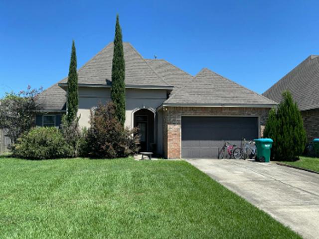 Scotch Pine Dr