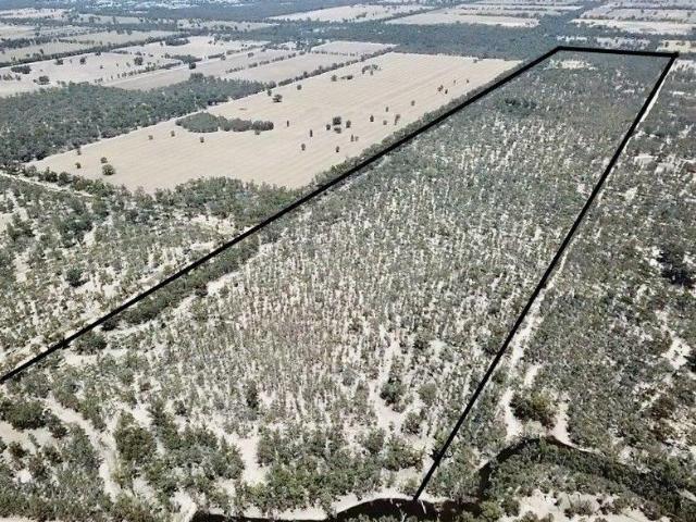 'Scottys Place' Rural Lifestyle Property Asking $500,000