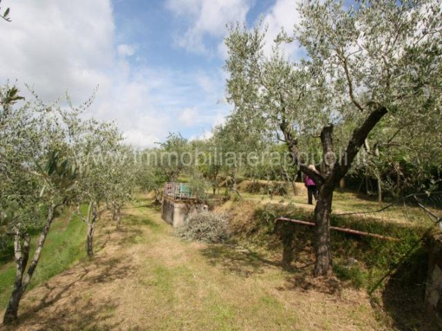 Scopri un angolo di paradiso nel cuore della Toscana, nella. 20m² Scrofiano