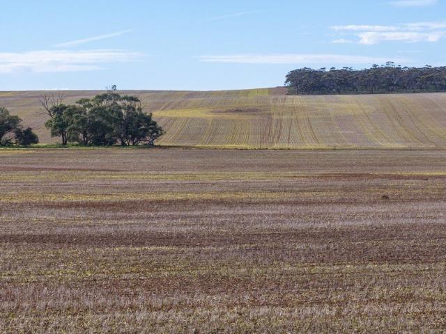 Scale Up in Proven Farming Country