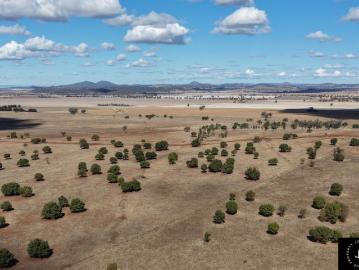 SCALE AND VERSATILITY ON THE WESTERN EDGE OF THE LIVERPOOL PLAINS