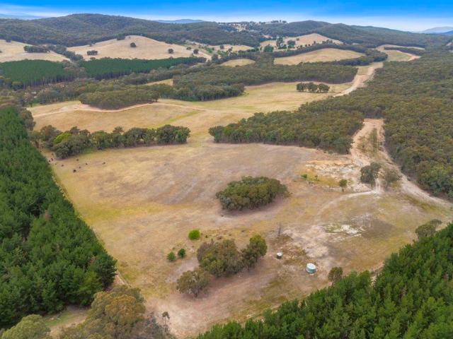 Scale, Diversity and Proven Grazing in the Holbrook region