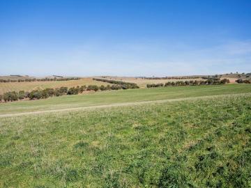 SCALE & PRODUCTIVITY IN THE EASTERN RIVERINA