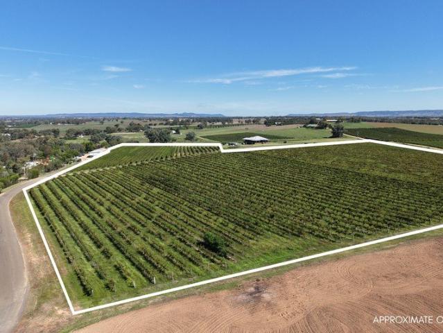 Scenic Lifestyle Block with Vineyard Outlook Build Your Dream Home SOME OF THE COUNTRYS OLDEST WINE GRAPES!