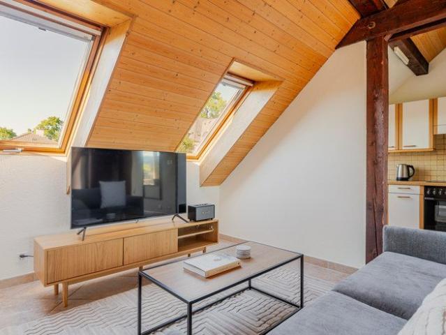 Schulhaustrasse 55, 8002, Zurich, Schulhausstrasse 55