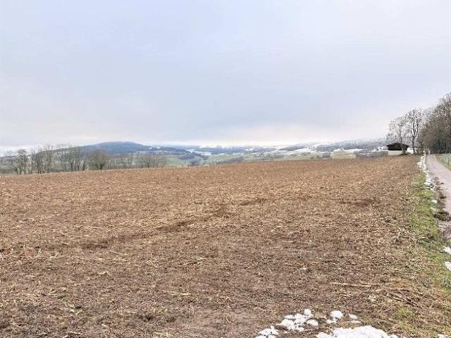 Schuppen mit Feld, Wiese, Weide