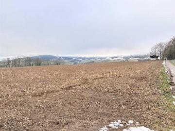 Schuppen mit Feld, Wiese, Weide