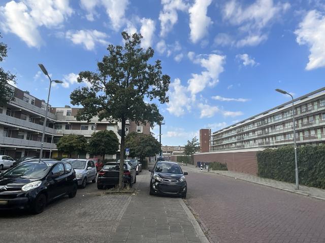 Schutskampstraat 59
