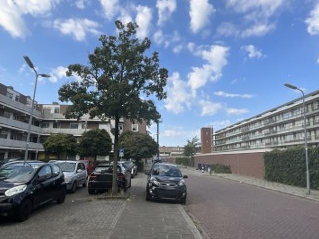 Schutskampstraat 75
