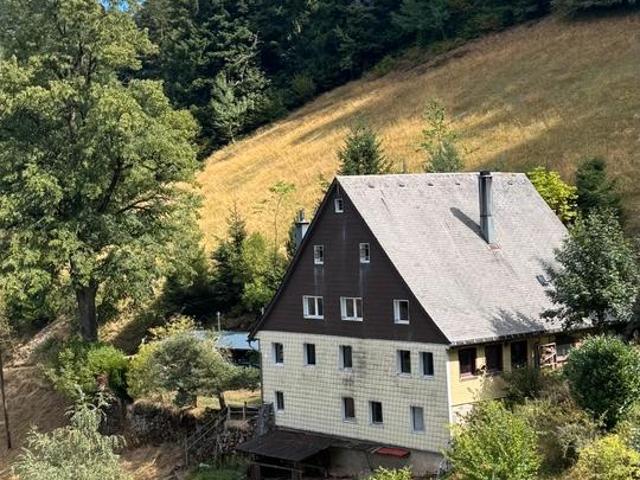 Schwarzwaldhaus ohne Zentralheizung mit Stallungen