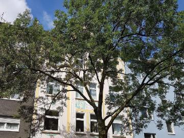SchÃ¶nes Apartment im beliebten SaarlandstraÃenviertel