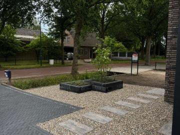 Schaapsdijk