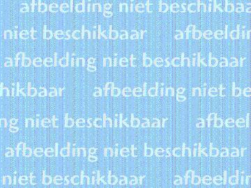 Schaapsveldje 46