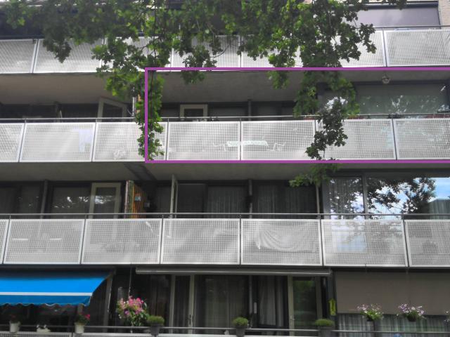 Schaepmanlaan 136