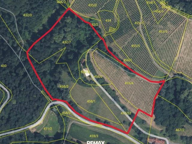 Scheibengrundstück mit Altbestand in Kranach, Gemeinde Gamlitz