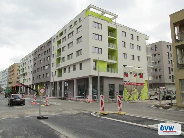 Schenk Danzinger Gasse 12/6/13