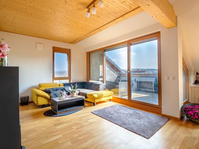 Schicke neuwertige Wohnung mit Dachterrasse in ökologischer Bauweise