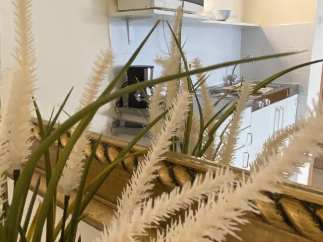 Schicke Single Wohnung möbliert nähe Japanviertel