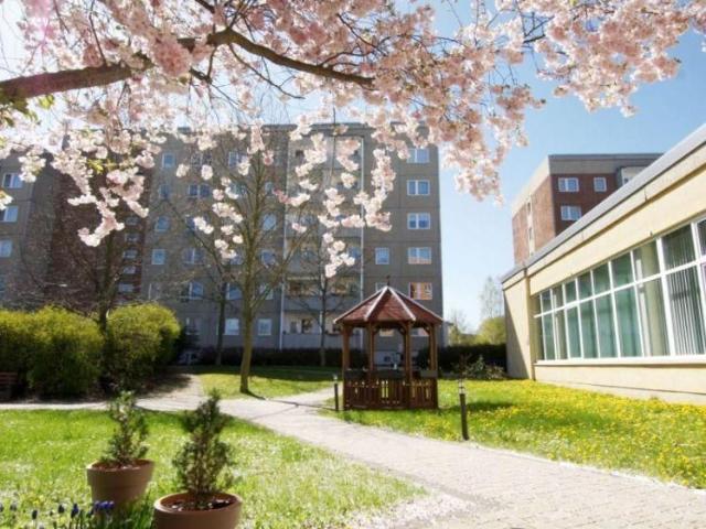 schicke 2 Raum Wohnung in ruhiger Wohnlage