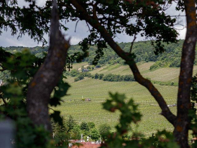 Schickes Apartment mit Traumblick in die Neustifter Weinberge