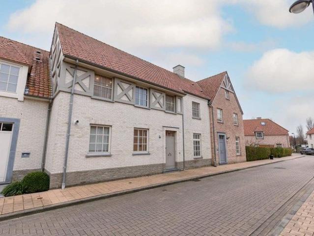 Schildeken