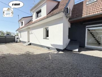 67240, Bischwiller, Bas-Rhin - Jardin, Cave