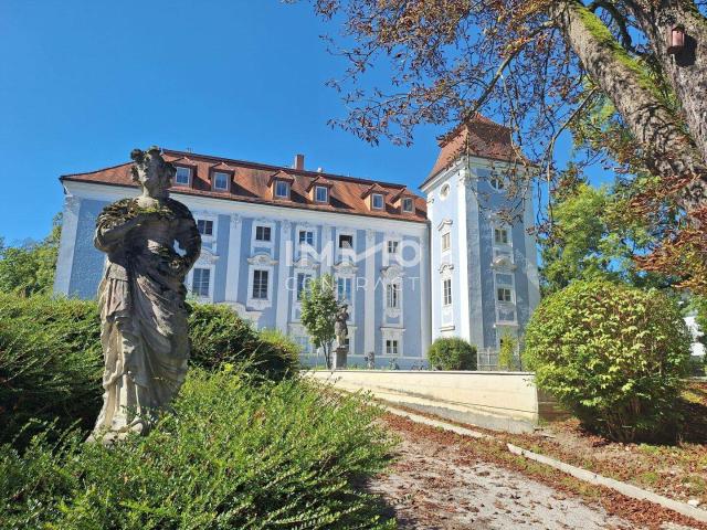Schlossherr:in gesucht elegante Schlosswohnung mit Turmzimmer zu verkaufen! inkl. Garage